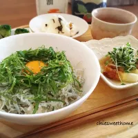 しらす丼ランチ