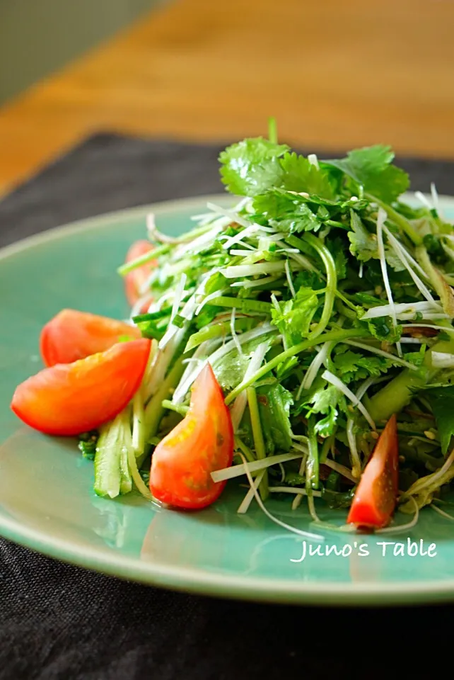 Snapdishの料理写真:香り野菜のさっぱりサラダ|Junさん