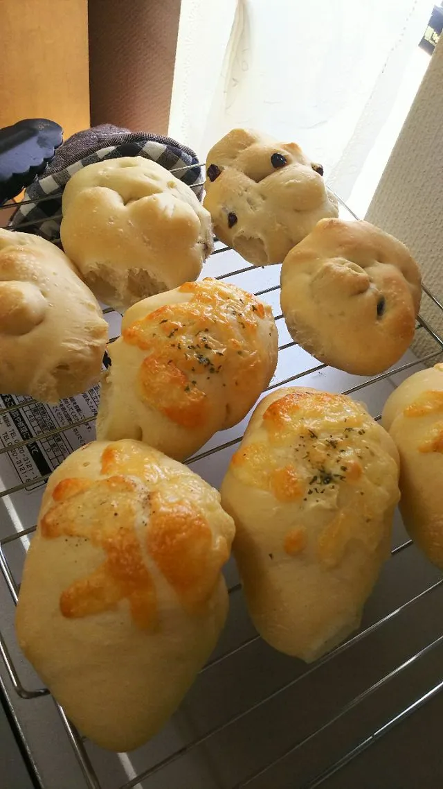 放ったらかし発酵 de  朝焼きパン🍞
～マンダリンオレンジ🍊酵母～|Mihoさん