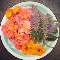 Snapdishの料理写真:edible flowers