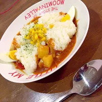 Snapdishの料理写真:母の日ディナー
トマトキーマカレー！|れん(๑･﹃ ･๑)→(๑°ں°๑)･*♪︎さん