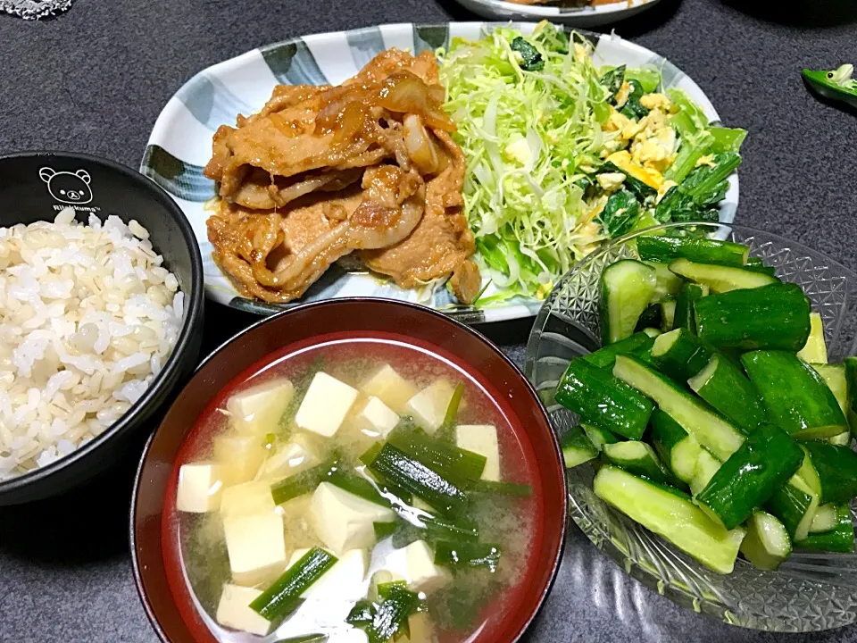 もち麦飯、豚玉ねぎ生姜焼き、キャベツ、玉子小松菜炒め、豆腐ニラ味噌汁、キュウリ浅漬け、|ms903さん