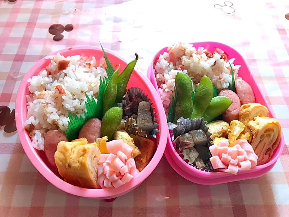 Snapdishの料理写真:お弁当5/30|NPさん