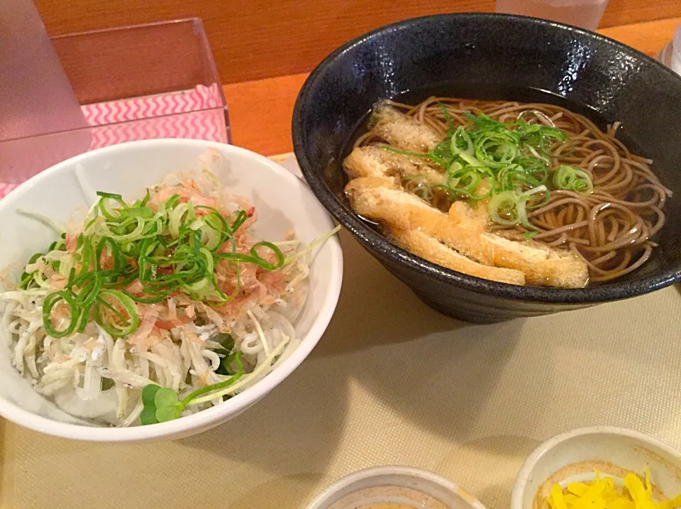 けふのお昼は、今が旬の釜揚げしらすのミニ丼とかけ蕎麦どす😄出来るだけ油物を避けるだけで結構体重減るのよね🤔…そんな事を言いながら、昨日のランチはなかなかのものを食べてしまったが🐽|にゃあ（芸名）さん