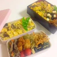 Snapdishの料理写真:作り置き半分べんとう☆  メインはチンゲンサイとたまごの中華風炒め！|くちこさん