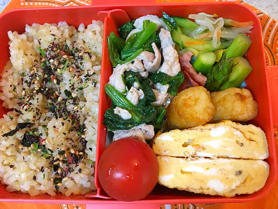 ☆5/31今日のお弁当☆〜豚しゃぶほうれん草胡麻ダレ和え、だし巻き卵、アスパラベーコン、もやしときゅうり、人参のナムル、トマト〜|Satokoさん