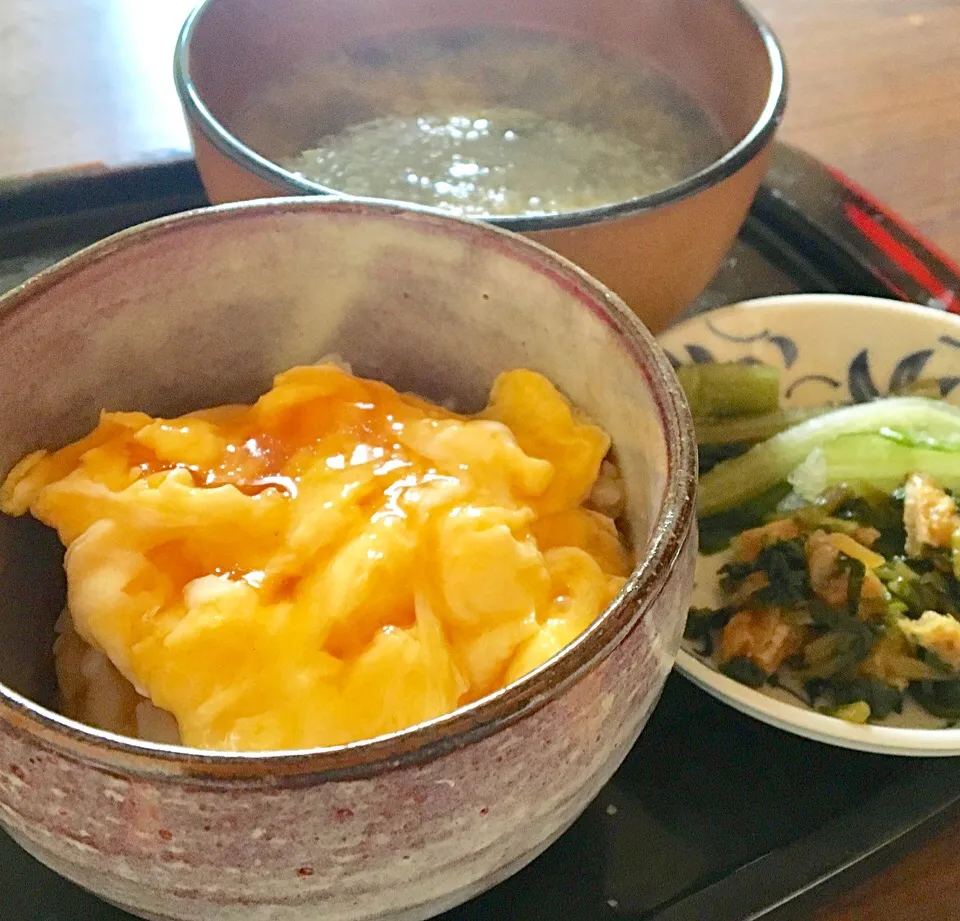 Snapdishの料理写真:単身赴任の朝ごはん🌅
あんかけ玉子丼🥚
ワカメと玉ねぎ、とろろ昆布の味噌汁
野沢菜漬
#単身赴任朝食|ぽんたさん