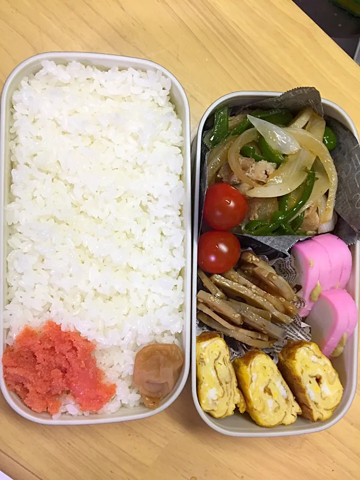 今日のお弁当🍱
玉ねぎ多めの生姜焼き|2493さん