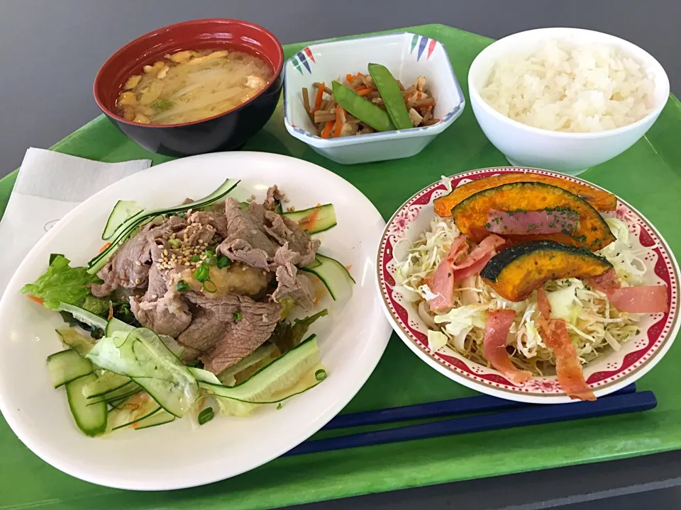 冷し牛しゃぶおろしポン酢、鶏ごぼう、カボチャとベーコンのサラダ|Tadahiko Watanabeさん