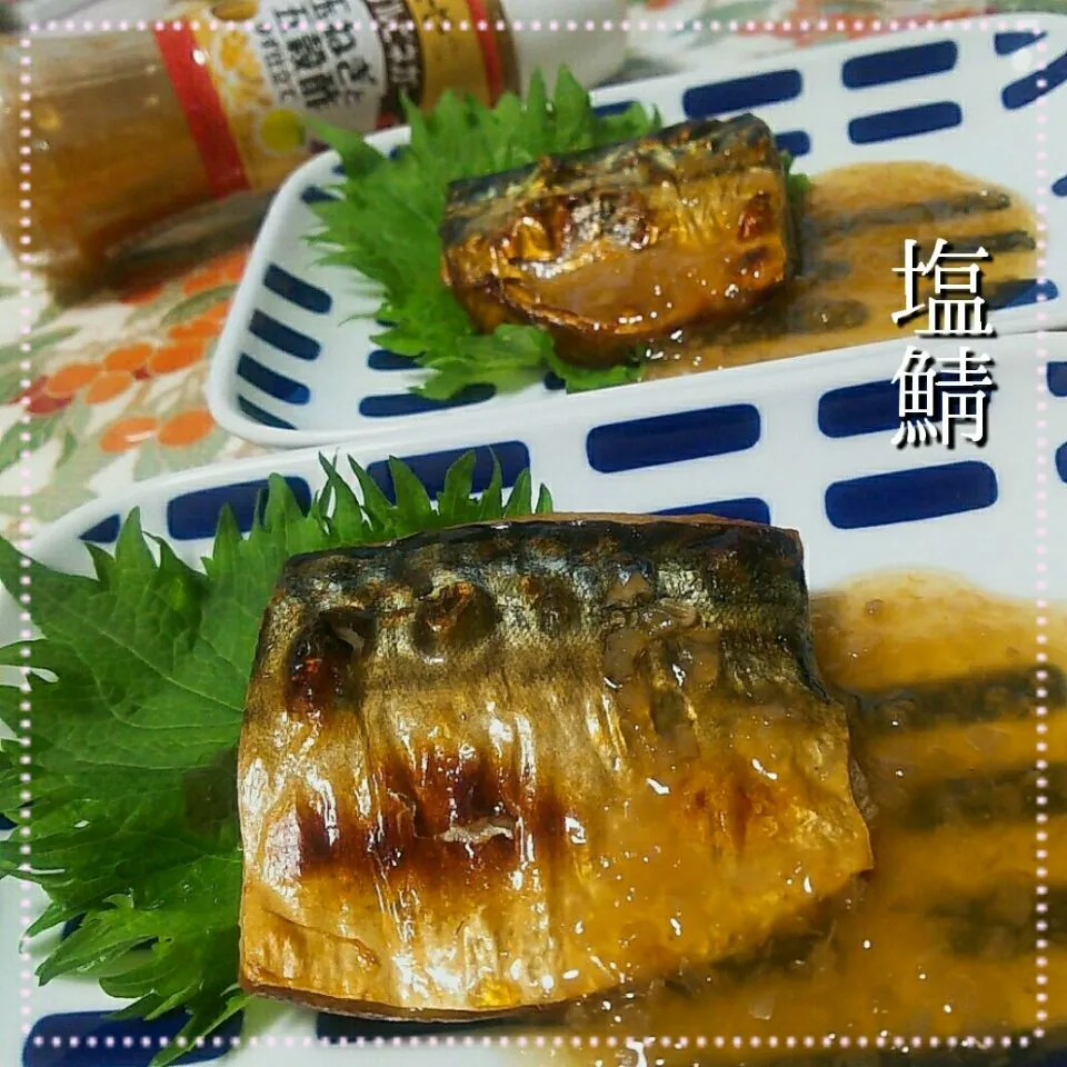 塩鯖|めぐチー🌿さん