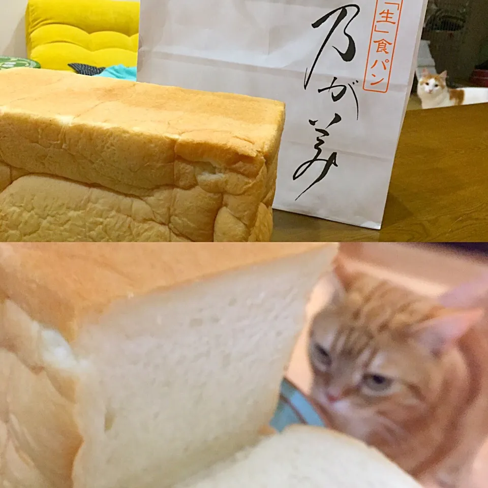 高級生食パン🍞|さくらんぼさん