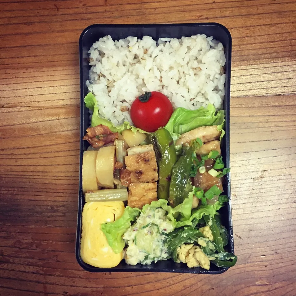 31 May 2017#お弁当 #lunch #lunchbox|はーさん