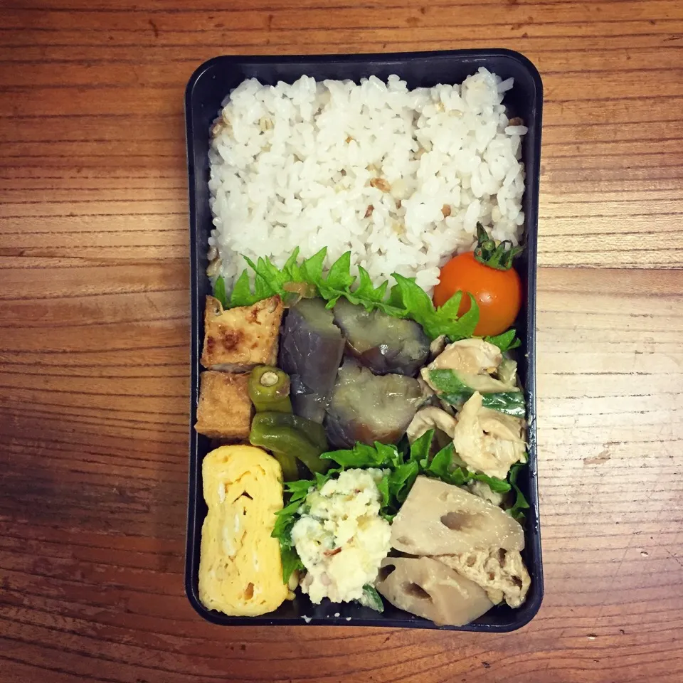 1 June 2017#lunchbox #lunch #お弁当|はーさん