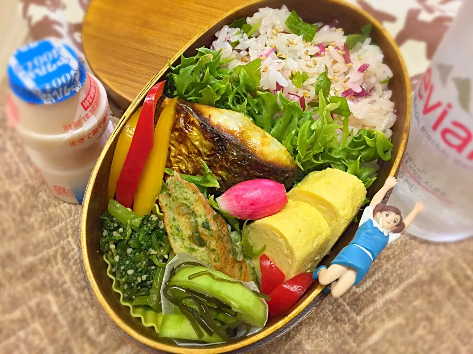 しばわかめと三つ葉☘の混ぜご飯&焼き塩サバ&だし巻き玉子&ちくわの磯辺揚げ&摘果メロンの昆布浅漬け&春菊のピーナッツ🥜和え&パプリカ&ラディッシュのダーリンお弁当♪

#弁当 #フチ子 #山菜祭り #摘果メロン|桃実さん