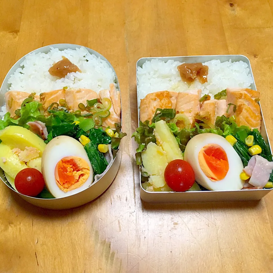 Snapdishの料理写真:女子高生弁当(*^^*)|sachiさん