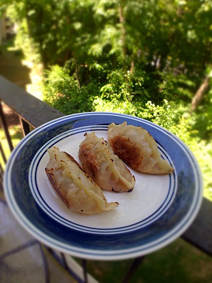 Fried dumplings for lunch.|SPJWUさん