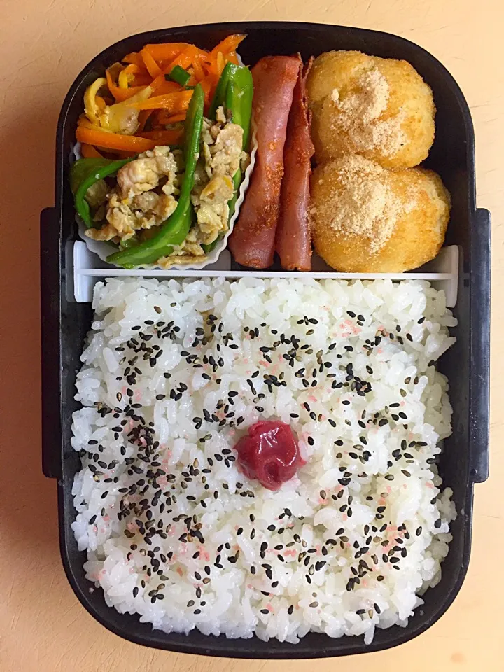 Snapdishの料理写真:お弁当／男子高校生|nayutaさん