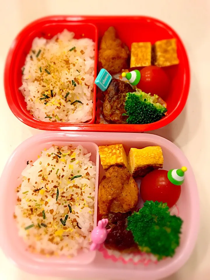 Snapdishの料理写真:ハンバーグ＆唐揚げ弁当✨|Michiko Okamotoさん