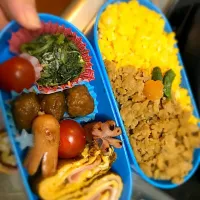 Snapdishの料理写真:鶏そぼろ弁当🐷💕|🐷DORAMI🐷さん