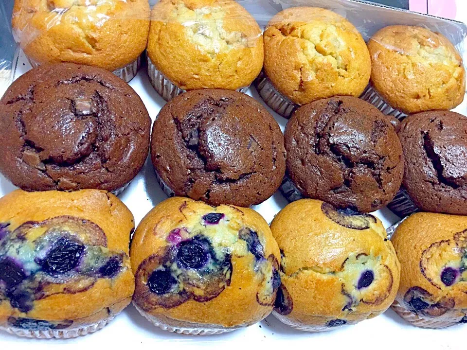 🍪Costco Muffin🥐|山田さん