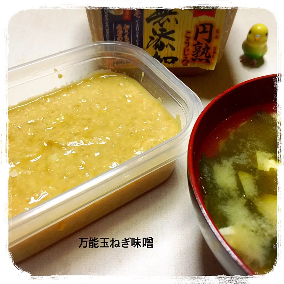 円熟こうじ味噌で、栄養たっぷり♡万能玉ねぎ味噌♡
#円熟こうじみそ#玉ねぎ味噌|きいこさん