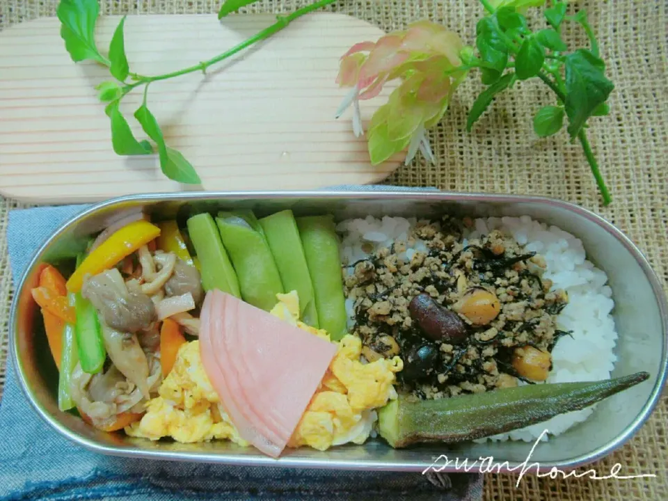 2017年6月2日 今日のお弁当②|スワンハウスさん