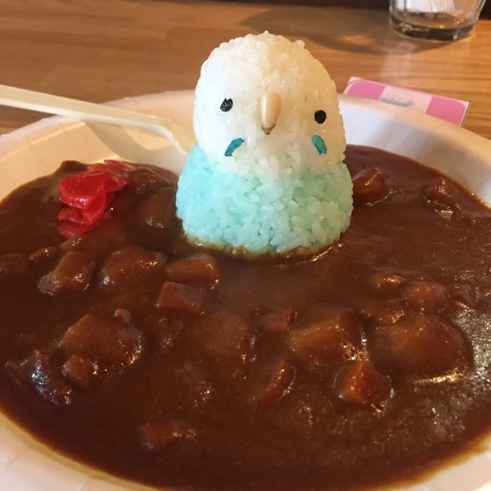 いんこKITCHEN in 札幌 セキセイインコカレー@鳥フェス札幌第2会場オノベカ #カレー #インコカレー #ランチ|カウンター嬢さん