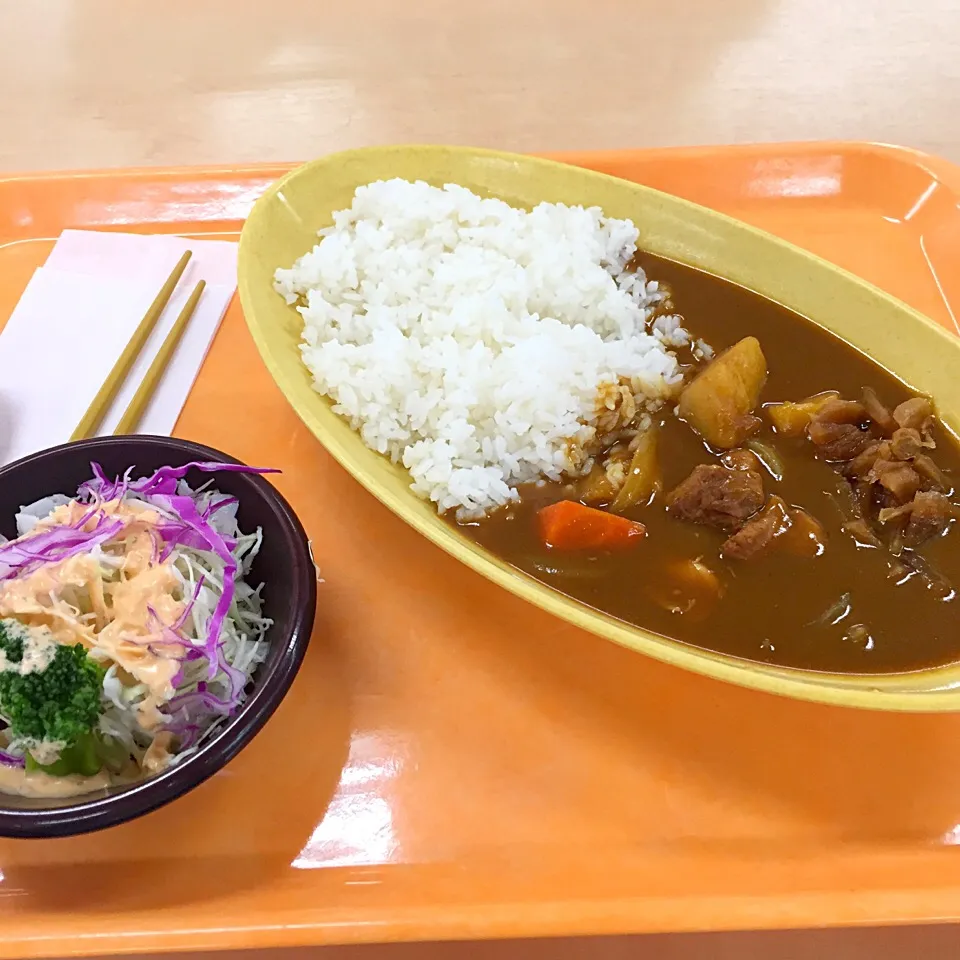 手作りチキンカレー*\(^o^)/*|すかラインさん