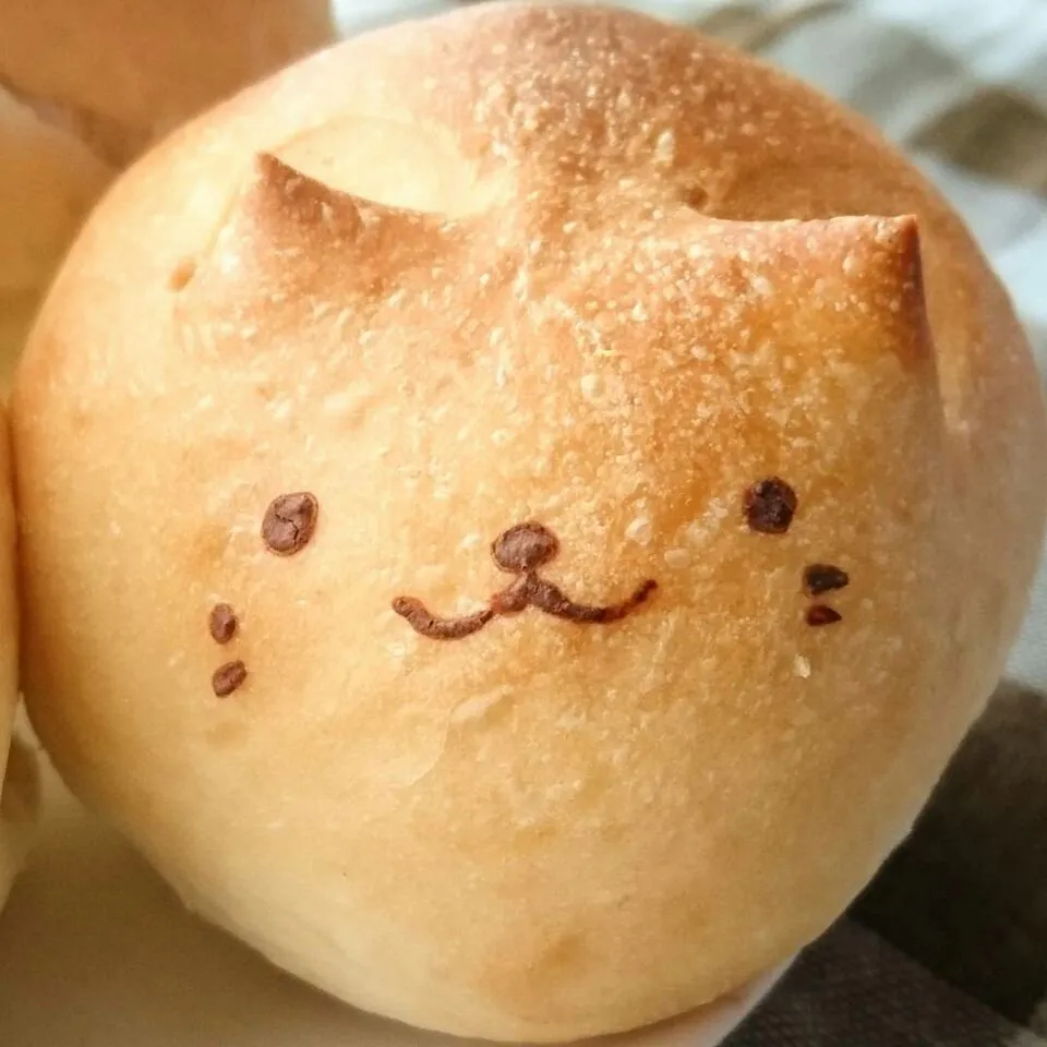 Snapdishの料理写真:ねこパン♪|lilymamanさん