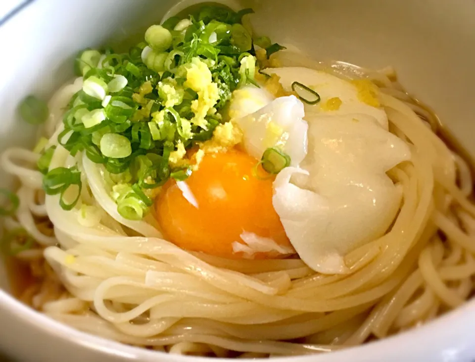 温玉のせ ぶっかけ半田麺
#徳島半田麺 #温玉 #ネギ #生姜 #ランチ|mottomoさん