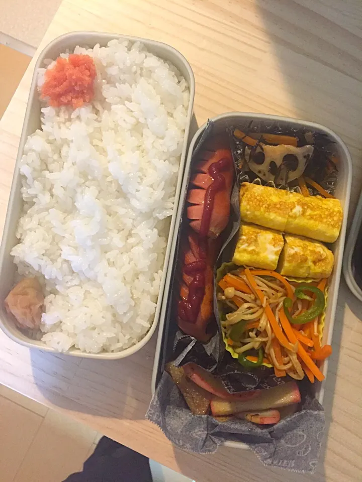 今日のお弁当🍱|2493さん