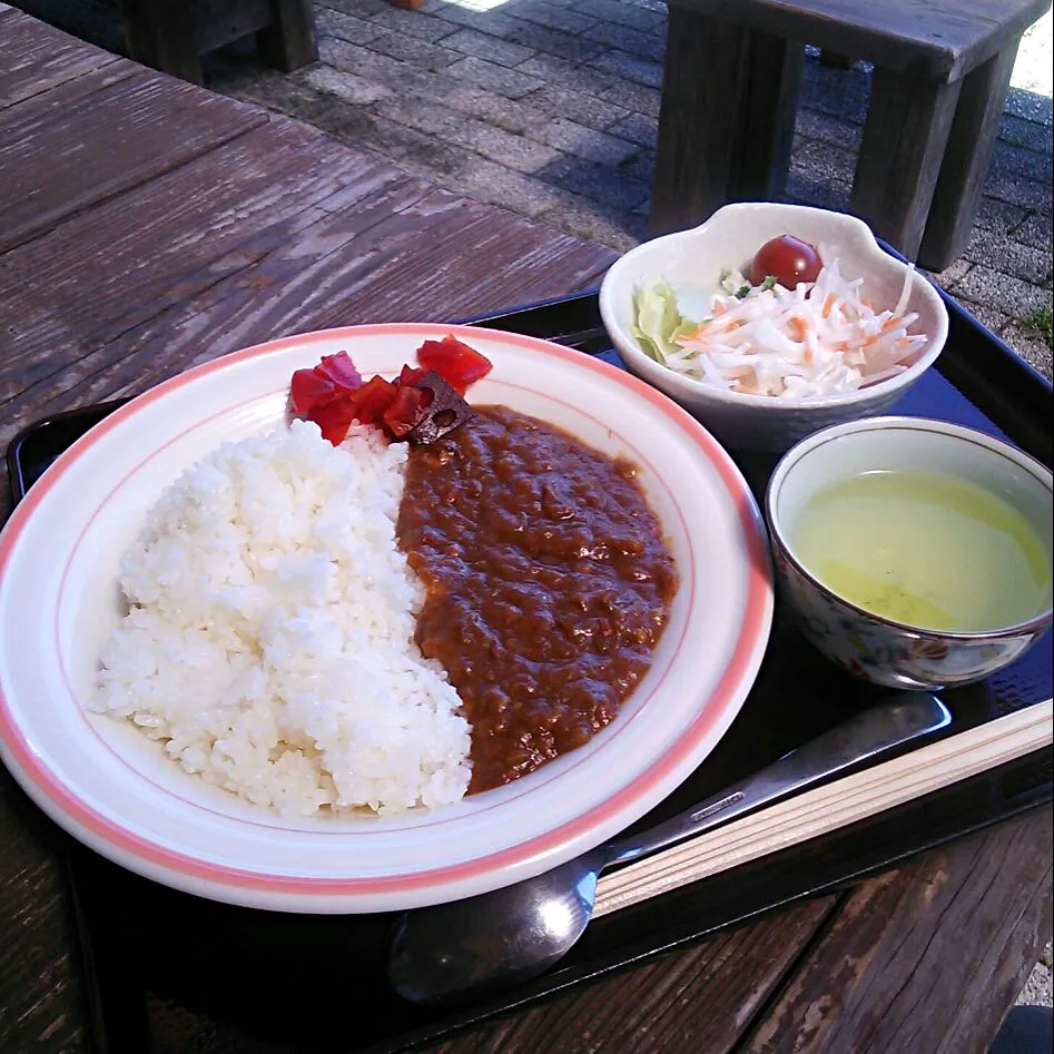 花桃の里の 花桃カレー🍛 #道の駅|大石さん