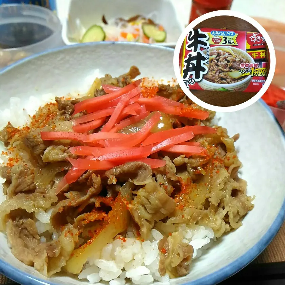 #17060403 冷凍「すき家の牛丼」¥200|dune725さん