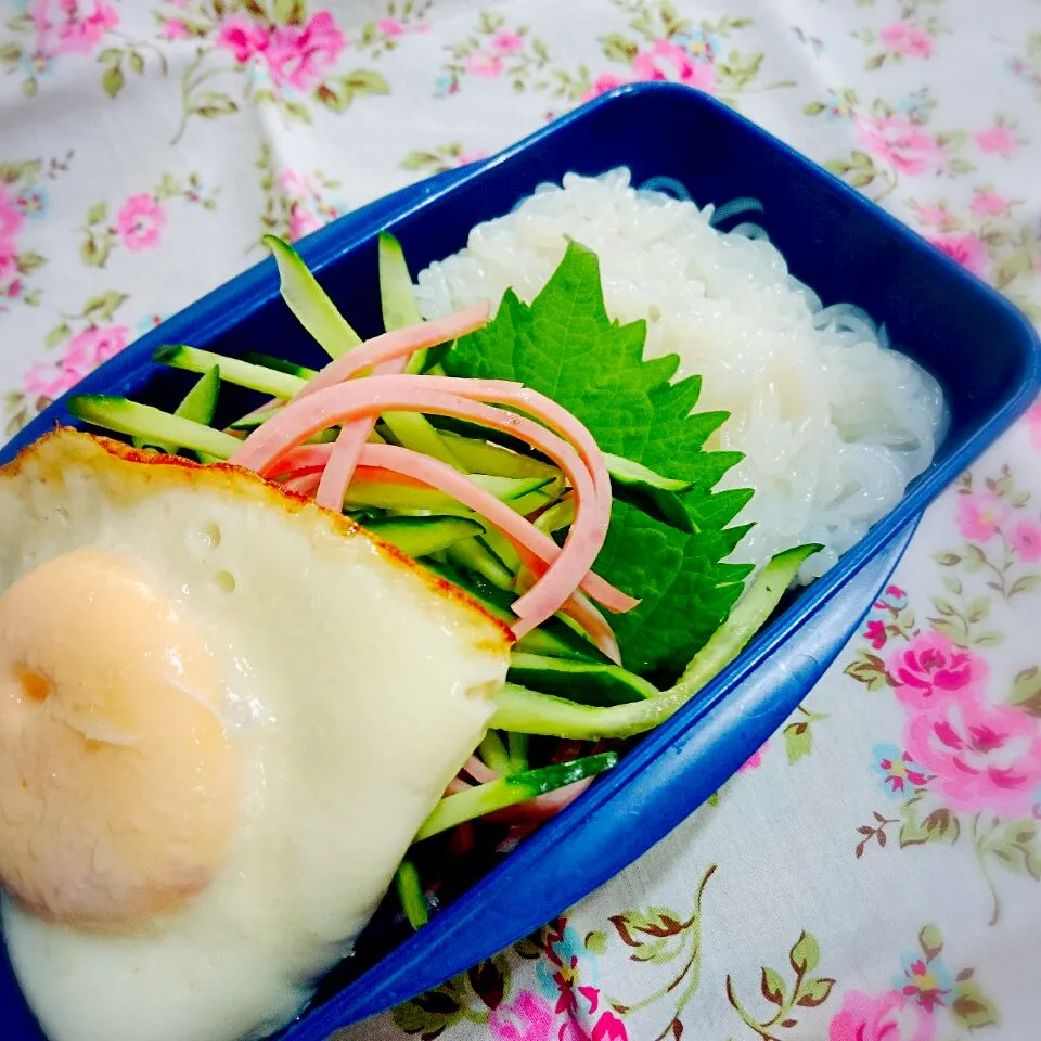 ダイエット！女子高生のお弁当|𓇼𓆉𝓜𝓪𝓶𝓲𓆉𓇼さん