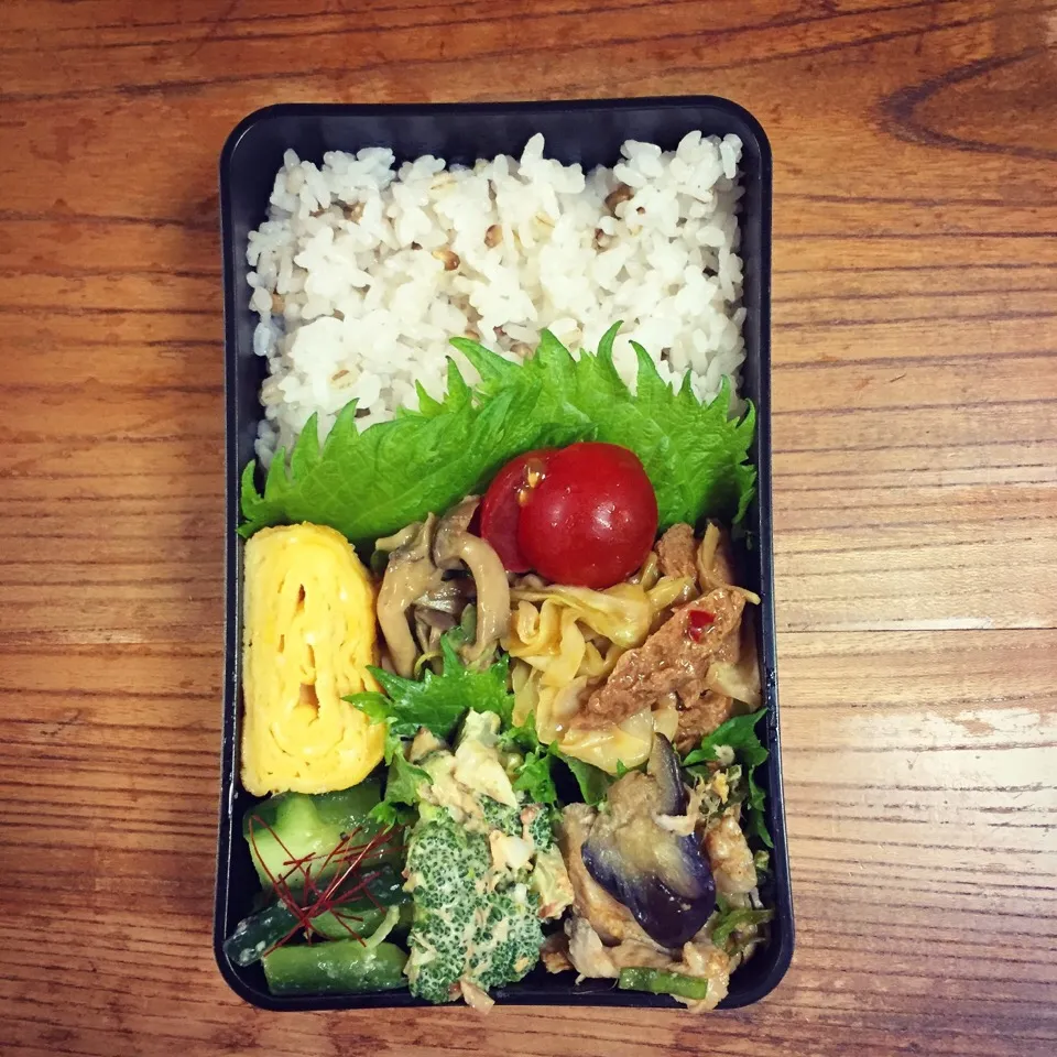 5 June2017#お弁当 #lunchbox #lunch #ダイズラボのお肉のフィレで回鍋肉|はーさん