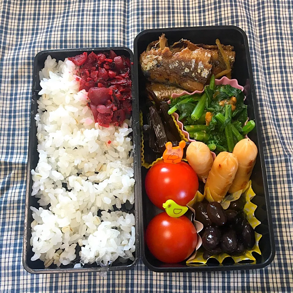 6/5
鰯のしょうが煮
おさかなソーセージ
ほうれん草のピーナッツ和え
伽羅蕗
黒豆
トマト🍅|aichanさん