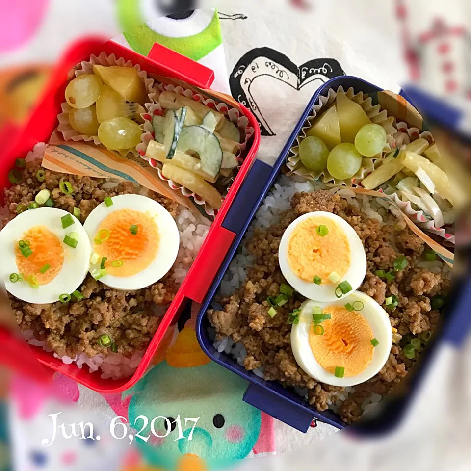 今日の#女子中学生弁当 は、和風キーマカレー|Hiroko Kさん