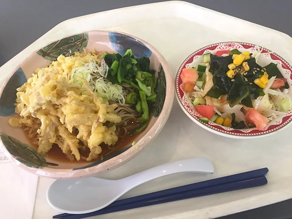 ぶっかけ蕎麦、ごぼう天、青菜、揚げ玉、豆腐サラダ|Tadahiko Watanabeさん