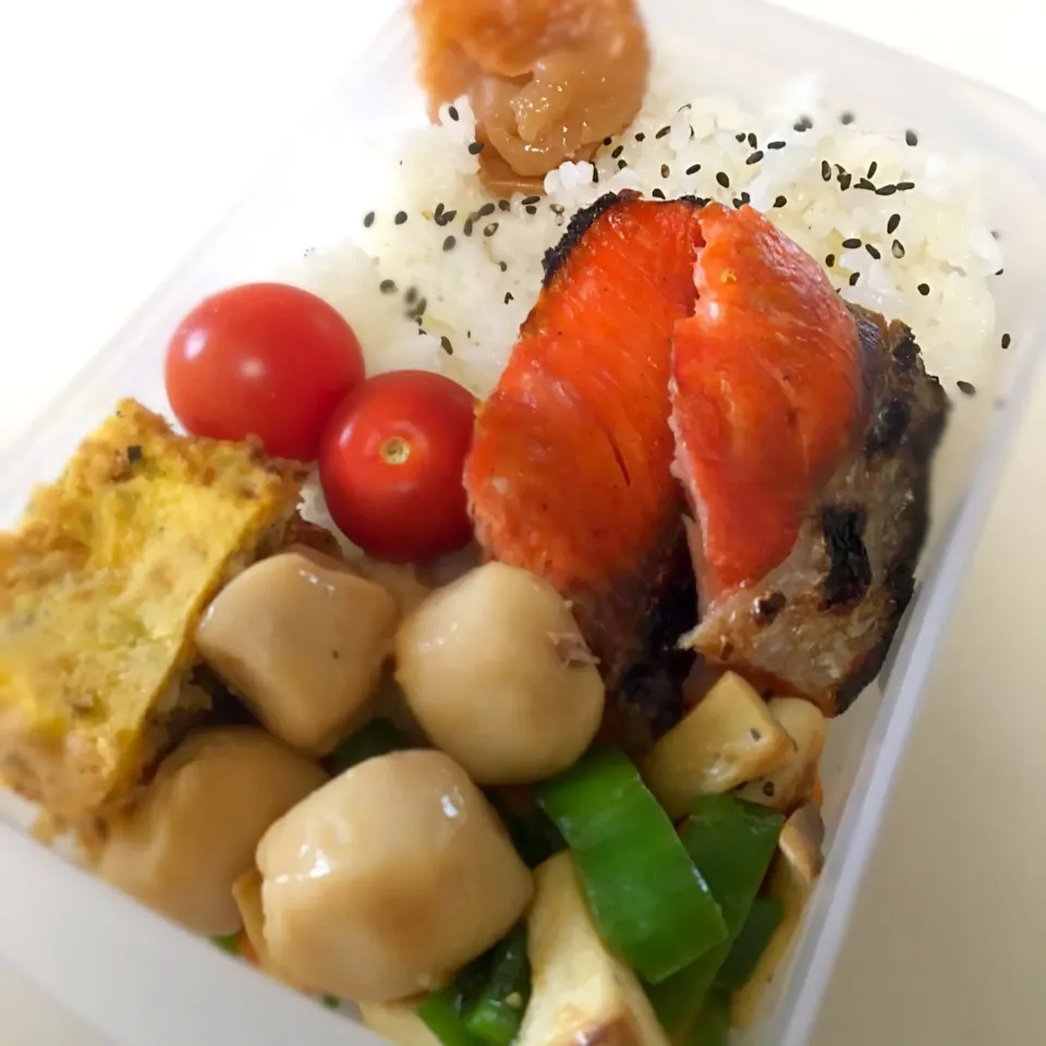 私弁当(*´˘`*)♡|あゆみさん