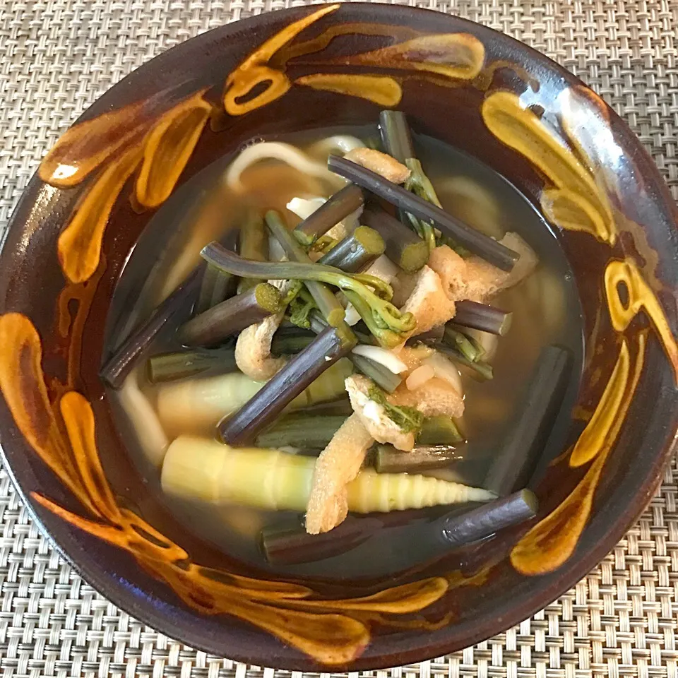 昨夜の姫筍と蕨の煮浸しを、山菜うどんにアレンジ🍜|saoricocoさん