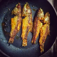 indian fish fry|nandonさん