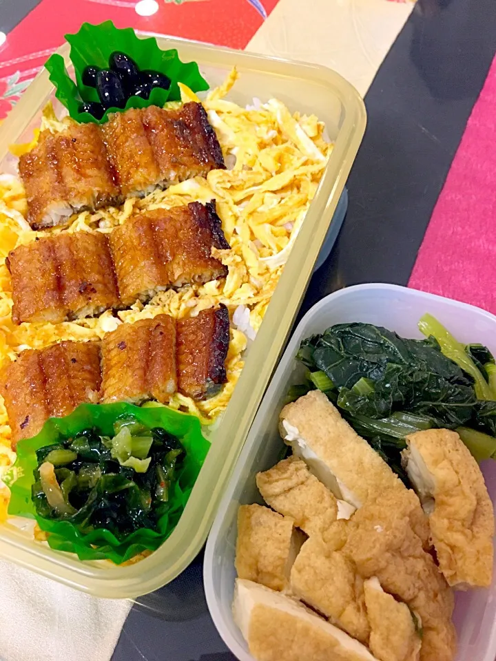 6月7日  プクパパお弁当|プクママさん