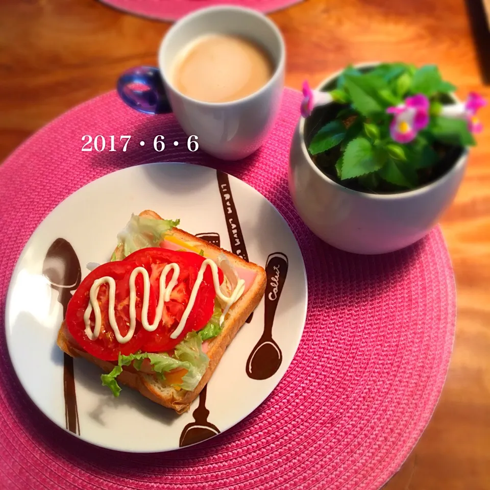 朝ごはん 2017・6・6|ローゼルさん