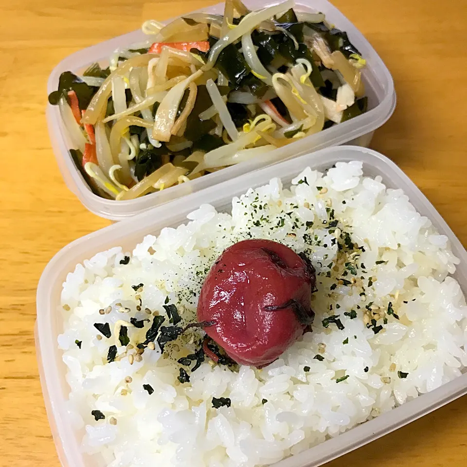 6/7#お弁当|Koichi GOGOさん