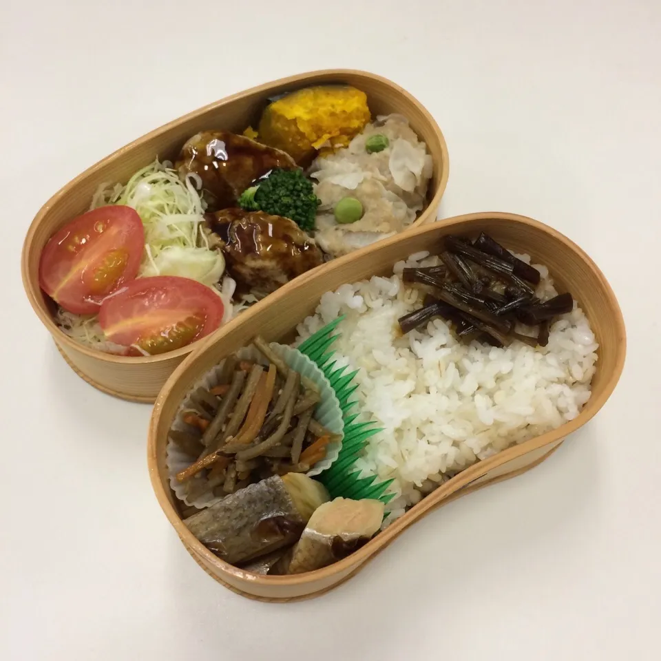 弁当（ハンバーグ、シュウマイ、かぼちゃ、サラダ、鮭麹焼き、きんぴら、伽羅蕗佃煮）|SasaMasa213さん