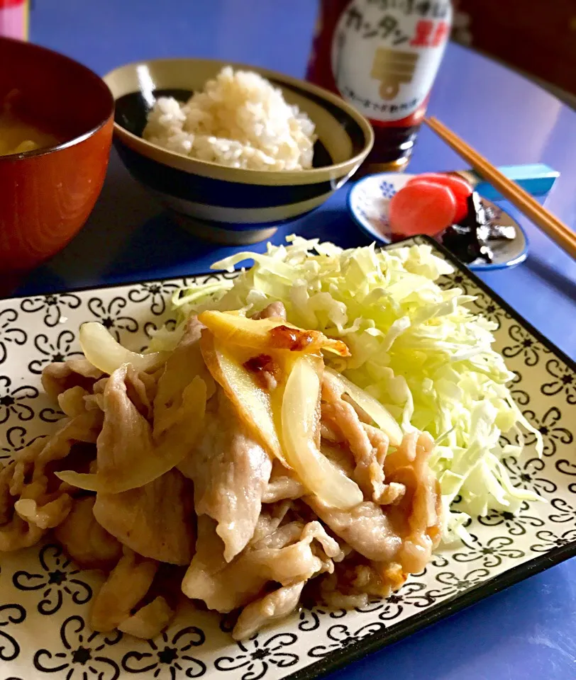 昼ごはん  カンタン黒酢で豚の生姜焼き🐖|砂雪さん