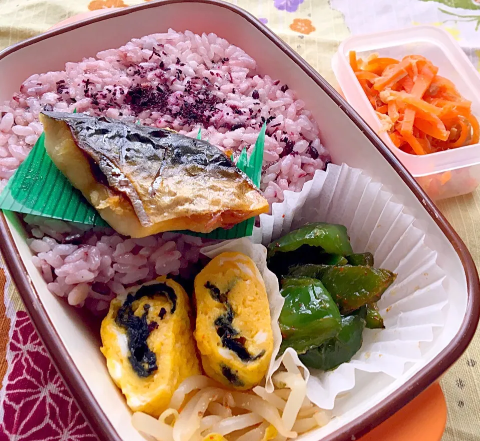 単身赴任の昼ごはん☀️
🍴塩鯖弁当🍱
焼き塩鯖🐟
海苔入り玉子焼き🥚
ピーマン炒め
もやしナムル
人参サラダ
麦ご飯
ワカメと海苔、とろろ昆布のお汁|ぽんたさん