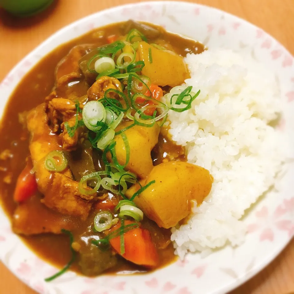 Snapdishの料理写真:和風カレー🍛|あすかさん