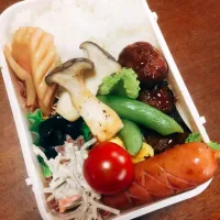 Snapdishの料理写真:お弁当|すずくさん