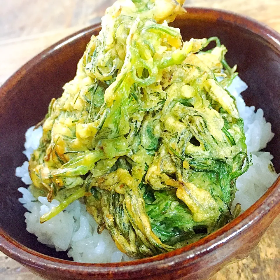 Snapdishの料理写真:オカヒジキでかき揚げ丼|アッツさん